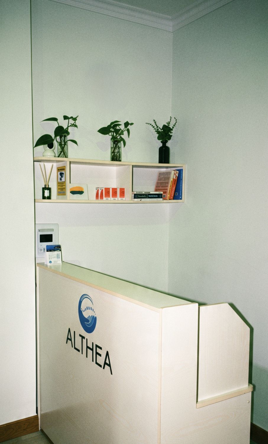Mostrador de Althea con estante de plantas, libros y productos