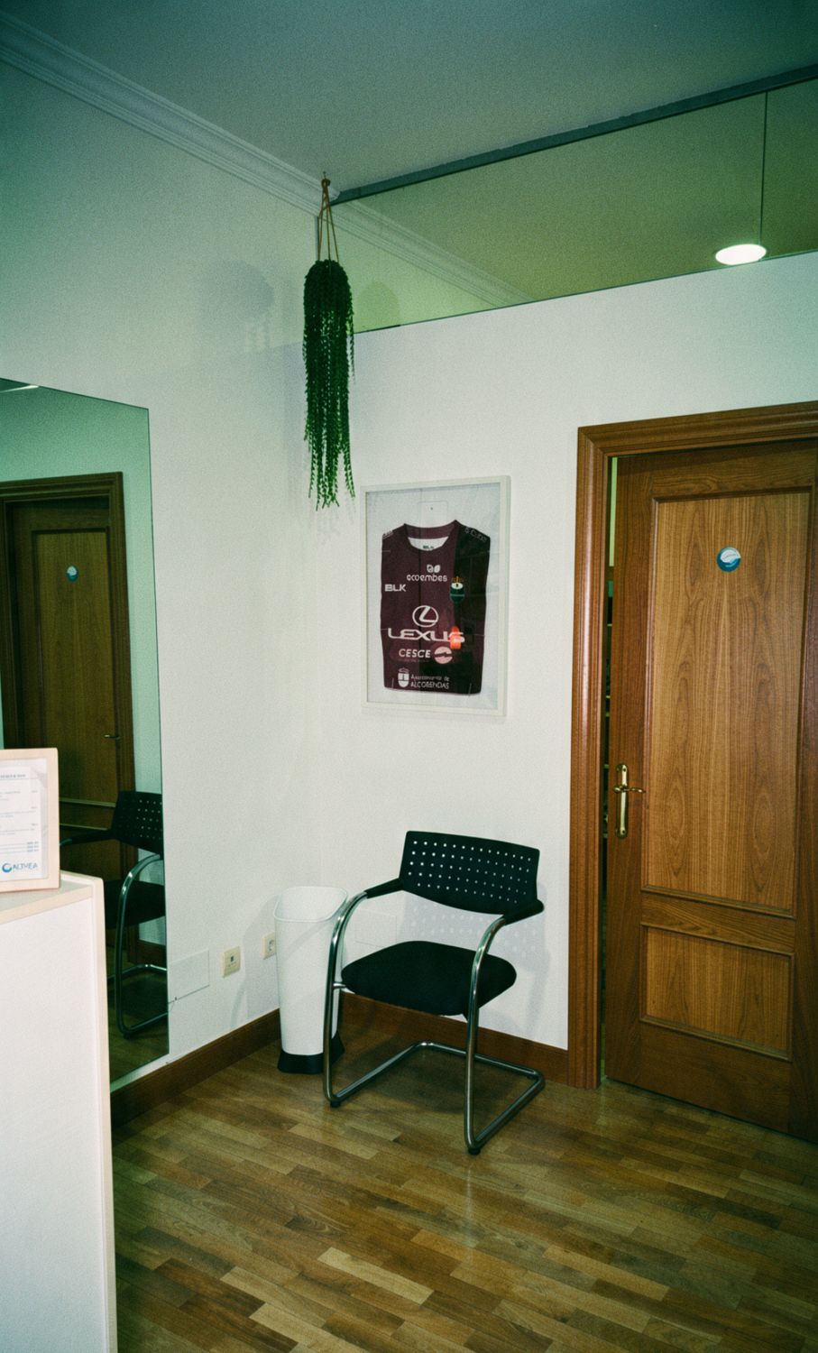 Sala de espera con silla, planta colgante y camiseta deportiva enmarcada